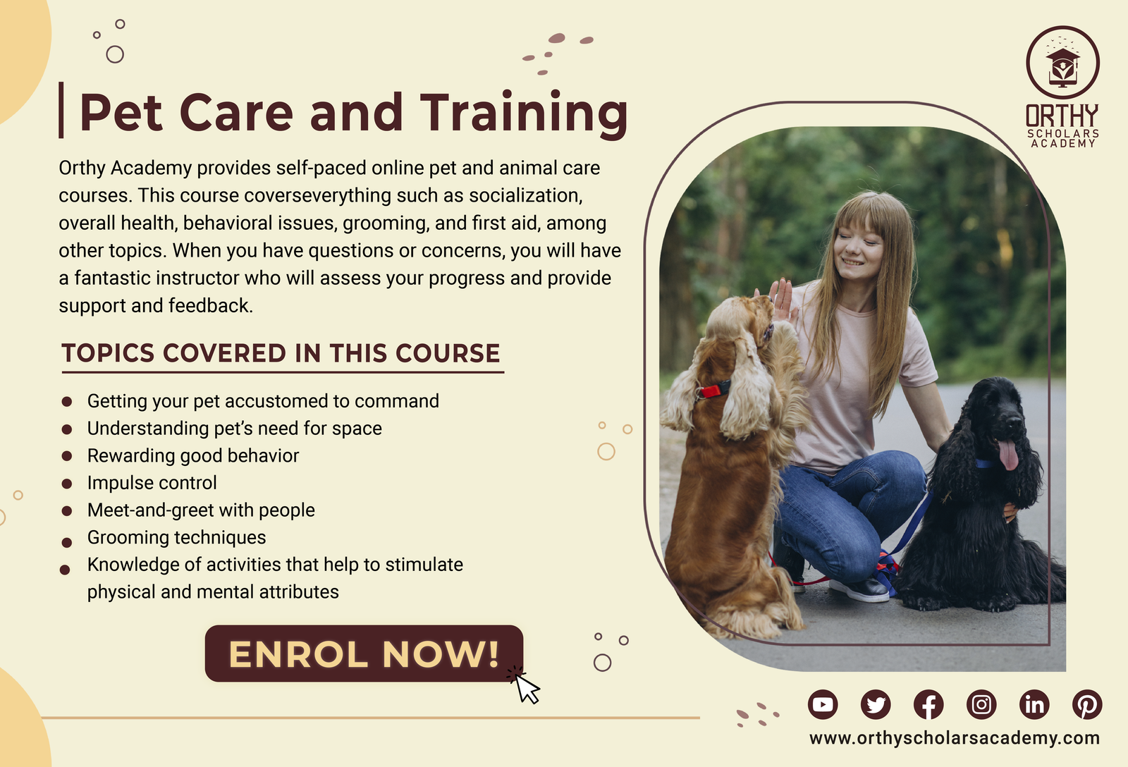 Pet Care & Training Bootcamp